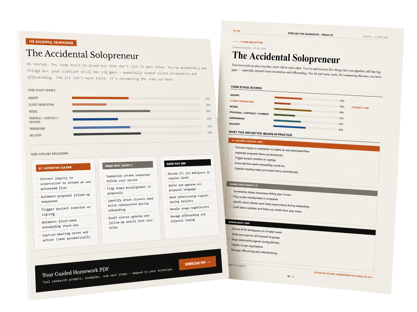 Pipeline Fog Diagnostic results — personalized result report and guided homework PDF